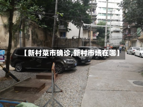 【新村菜市确诊,新村市场在哪】-第3张图片