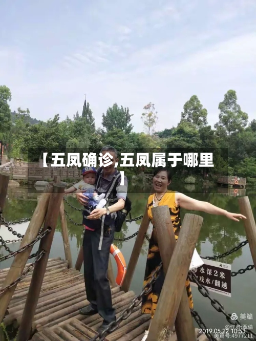 【五凤确诊,五凤属于哪里】-第2张图片