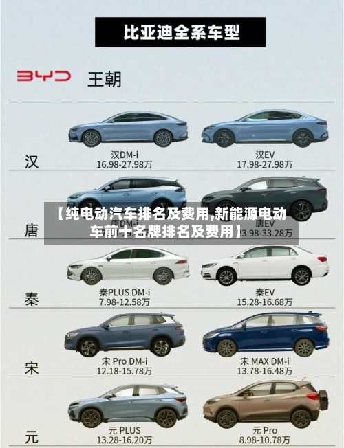 【纯电动汽车排名及费用,新能源电动车前十名牌排名及费用】
