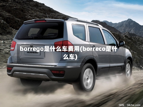 borrego是什么车费用(borreco是什么车)-第2张图片