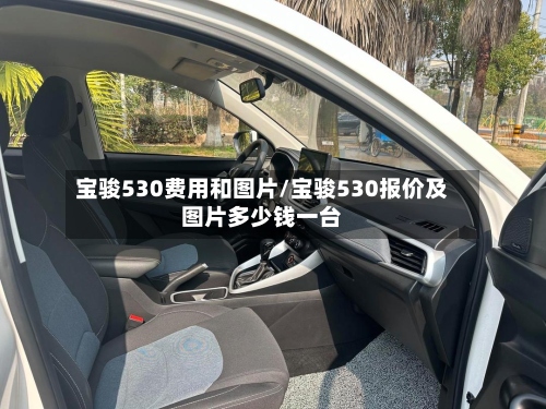 宝骏530费用和图片/宝骏530报价及图片多少钱一台