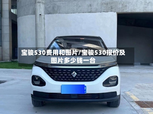 宝骏530费用和图片/宝骏530报价及图片多少钱一台-第2张图片