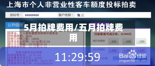 5月拍牌费用/五月拍牌费用