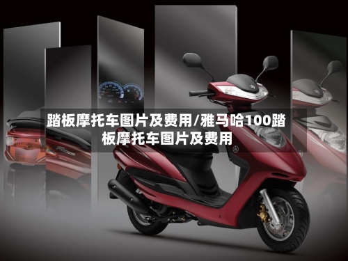 踏板摩托车图片及费用/雅马哈100踏板摩托车图片及费用-第3张图片
