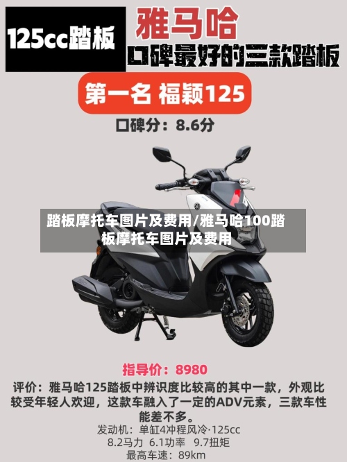 踏板摩托车图片及费用/雅马哈100踏板摩托车图片及费用-第2张图片