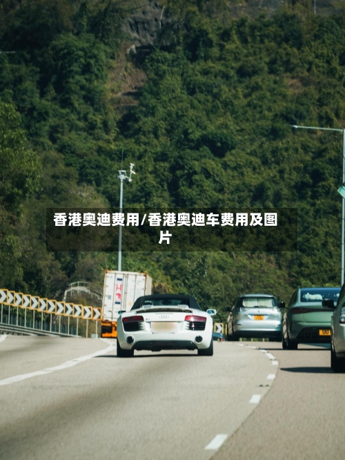 香港奥迪费用/香港奥迪车费用及图片-第2张图片