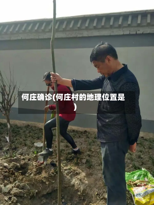 何庄确诊(何庄村的地理位置是)