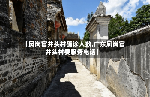 【凤岗官井头村确诊人数,广东凤岗官井头村委服务电话】