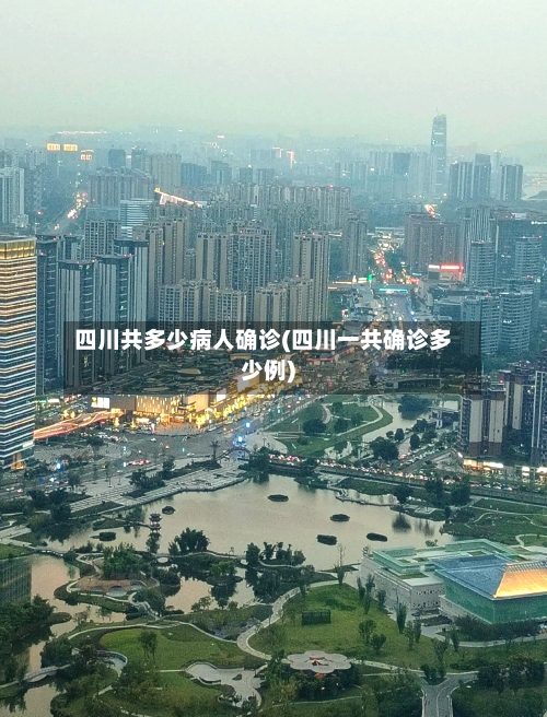 四川共多少病人确诊(四川一共确诊多少例)