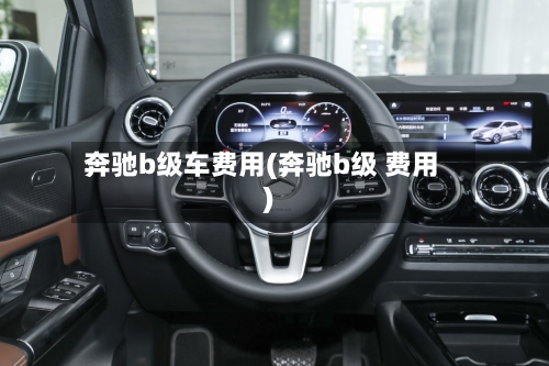 奔驰b级车费用(奔驰b级 费用)