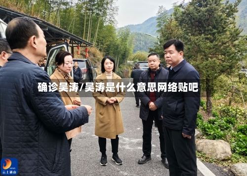确诊吴涛/吴涛是什么意思网络贴吧