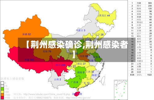 【荆州感染确诊,荆州感染者】