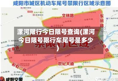 漯河限行今日限号查询(漯河今日限号限行车尾号是多少)