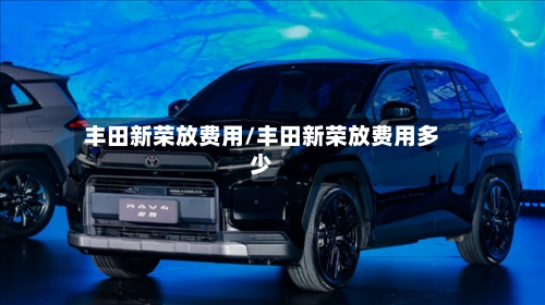 丰田新荣放费用/丰田新荣放费用多少-第3张图片