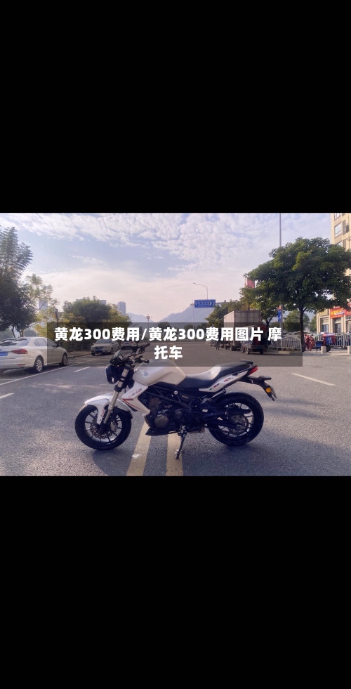 黄龙300费用/黄龙300费用图片 摩托车