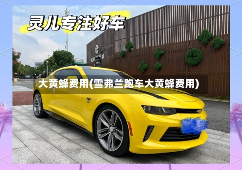 大黄蜂费用(雪弗兰跑车大黄蜂费用)