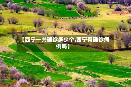 【西宁一共确诊多少个,西宁有确诊病例吗】