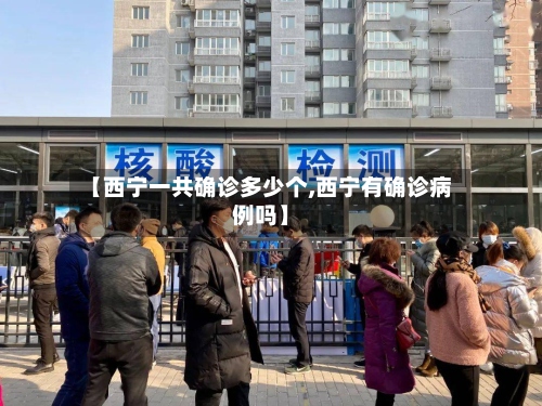 【西宁一共确诊多少个,西宁有确诊病例吗】-第2张图片