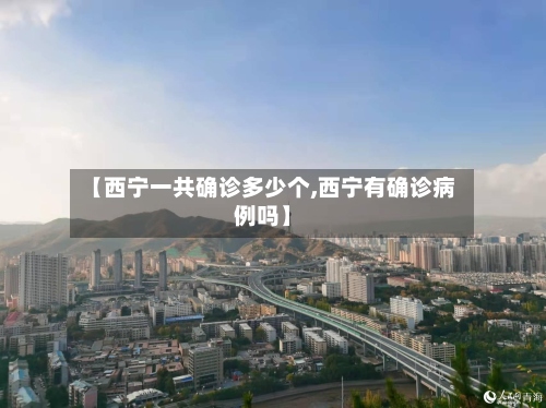 【西宁一共确诊多少个,西宁有确诊病例吗】-第3张图片