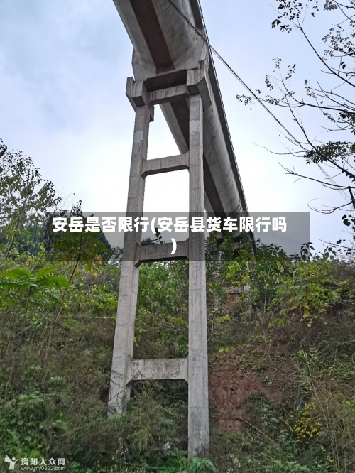 安岳是否限行(安岳县货车限行吗)-第2张图片