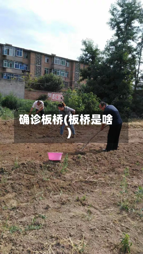 确诊板桥(板桥是啥)