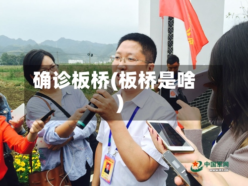 确诊板桥(板桥是啥)-第3张图片