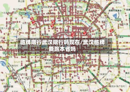 临牌限行武汉限行吗现在/武汉临牌能跑本省吗-第2张图片