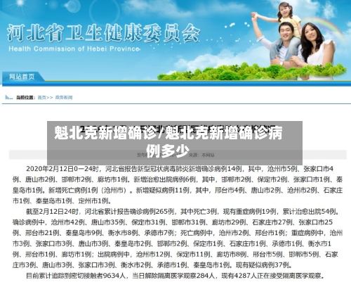 魁北克新增确诊/魁北克新增确诊病例多少-第2张图片