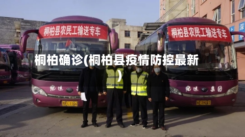 桐柏确诊(桐柏县疫情防控最新)-第2张图片