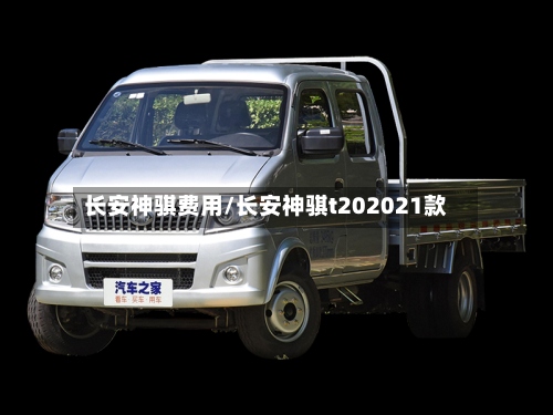 长安神骐费用/长安神骐t202021款-第2张图片
