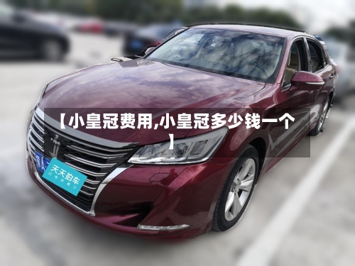 【小皇冠费用,小皇冠多少钱一个】-第2张图片