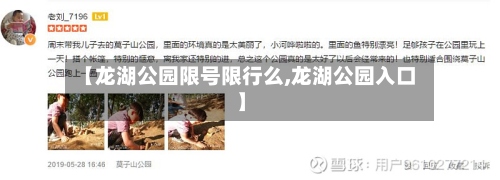 【龙湖公园限号限行么,龙湖公园入口】-第3张图片