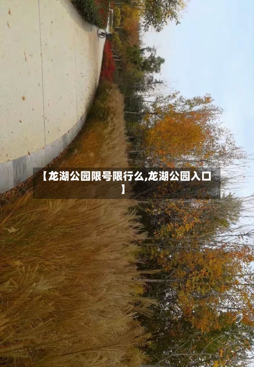 【龙湖公园限号限行么,龙湖公园入口】-第2张图片