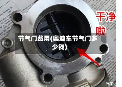节气门费用(奥迪车节气门多少钱)