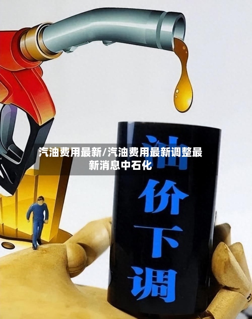 汽油费用最新/汽油费用最新调整最新消息中石化-第3张图片