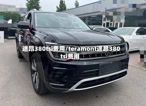 途昂380tsi费用/teramont途昂380tsi费用