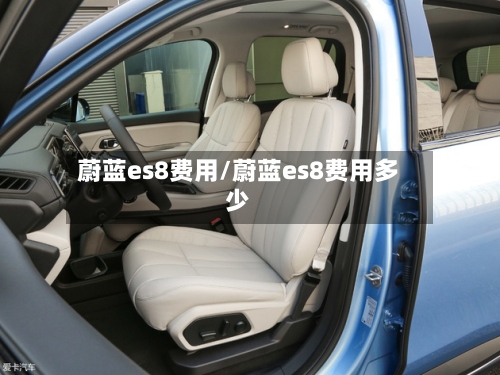 蔚蓝es8费用/蔚蓝es8费用多少-第3张图片