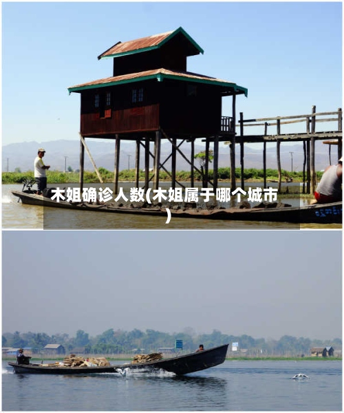木姐确诊人数(木姐属于哪个城市)