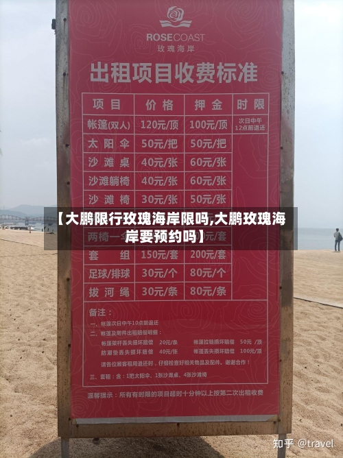 【大鹏限行玫瑰海岸限吗,大鹏玫瑰海岸要预约吗】-第3张图片