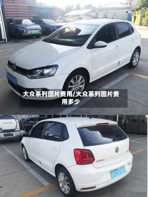 大众系列图片费用/大众系列图片费用多少-第2张图片