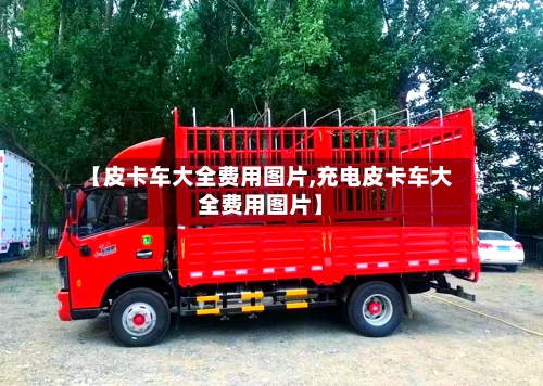 【皮卡车大全费用图片,充电皮卡车大全费用图片】