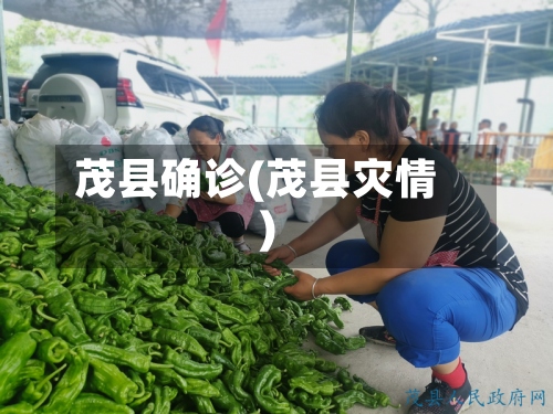 茂县确诊(茂县灾情)