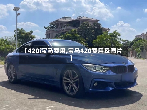 【420i宝马费用,宝马420费用及图片】-第2张图片