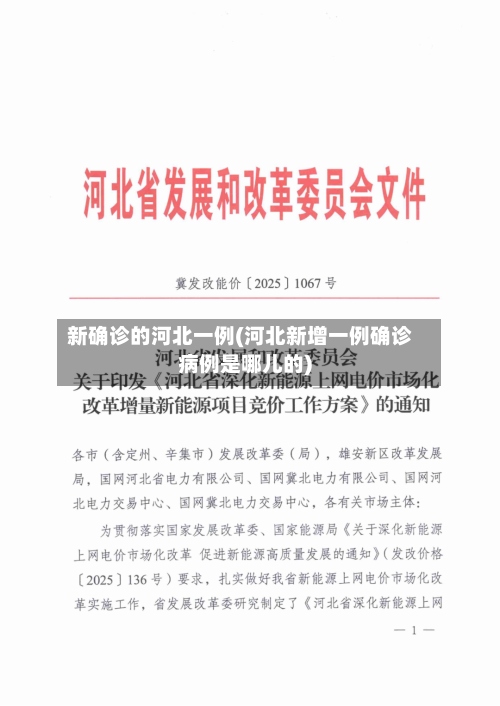 新确诊的河北一例(河北新增一例确诊病例是哪儿的)