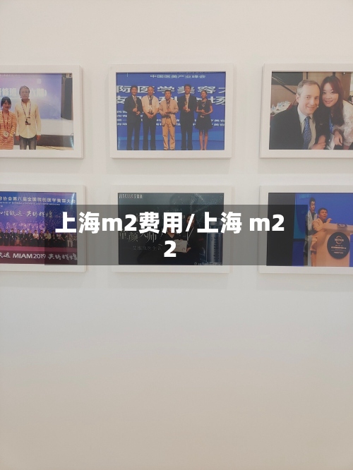 上海m2费用/上海 m22-第3张图片