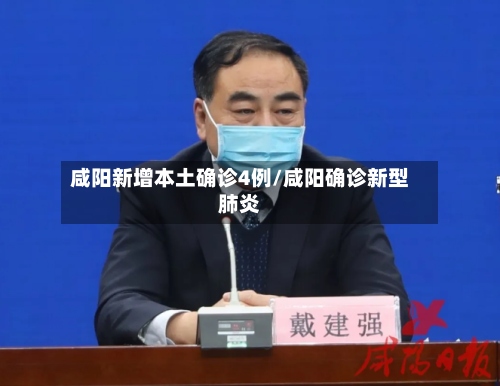 咸阳新增本土确诊4例/咸阳确诊新型肺炎-第2张图片