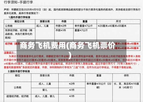 商务飞机费用(商务飞机票价)