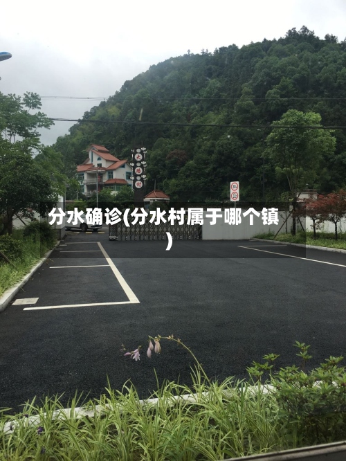 分水确诊(分水村属于哪个镇)