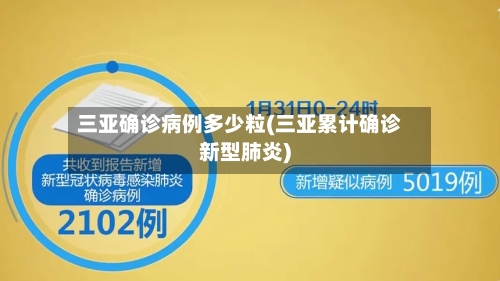 三亚确诊病例多少粒(三亚累计确诊新型肺炎)