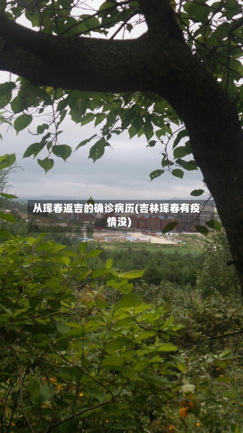 从珲春返吉的确诊病历(吉林珲春有疫情没)